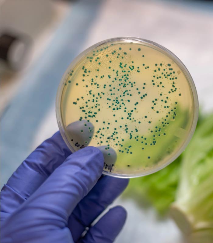 Listeria, Salmonella, and E. coli