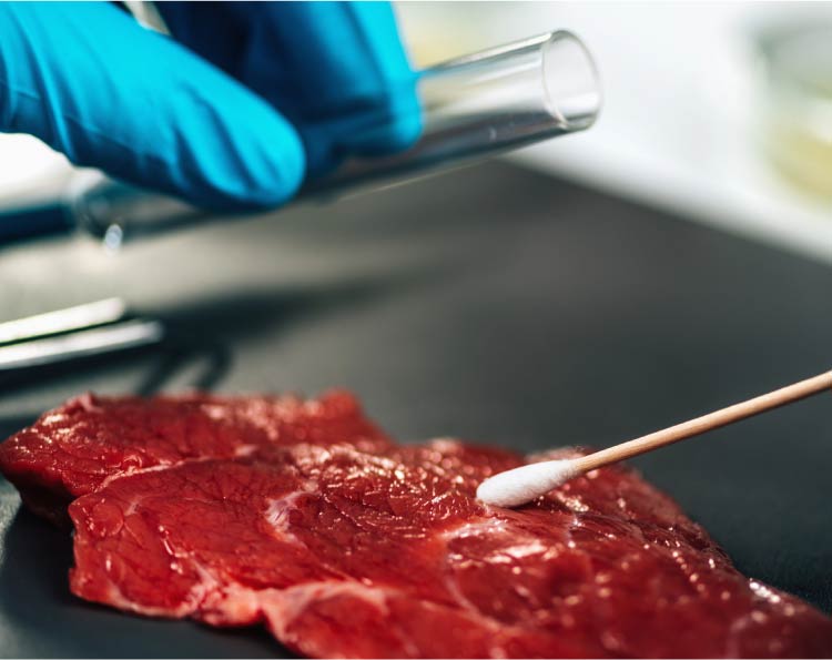 Finding a pathogen in meat